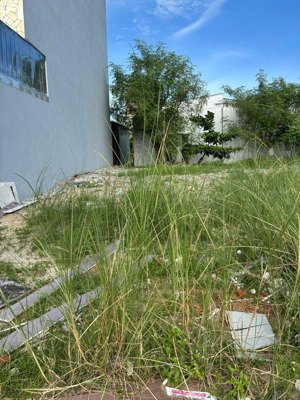 bán đất hoàng bình chính, 5,3 tỷ, 1000m2, giá cực chất