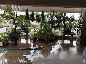 gd cần bán gấp chia lô nguyễn sơn , khu dân tri cao , phù hợp ở ,hoặc kd