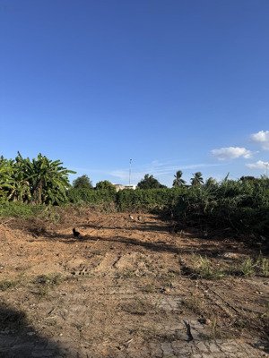 bán lô đất đường bàu mạc 21 / đường 7m5