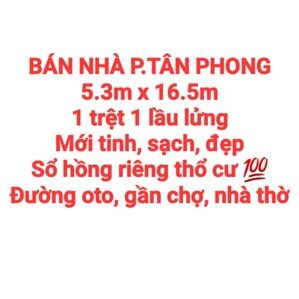 BÁN NHÀ ĐẤT TÂN PHONG, 1TRỆT 1LẦU LỬNG, SỔ HỒNG RIÊNG THỔ CƯ ĐƯỜNG OTO