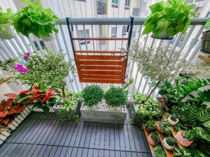 giá tốt hiếm có căn hộ 2pn mỹ tho chỉ 750tr