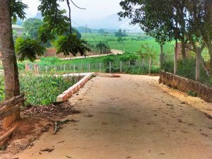 lô đất nghỉ dưỡng 20m mt, view núi, cánh đồng thoáng mát tại khánh thượng, cách tl445 chưa tới 1km