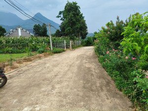 đất nghỉ dưỡng view núi, cánh đồng bát ngát, gần trường, chợ, bệnh viện, ub xã, cách tl414 chỉ 700m