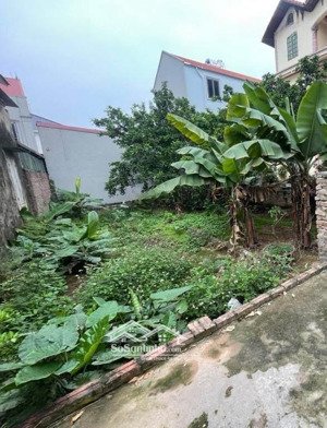 bán gấp đất tình quang dt 52,9m2, vuông vắn, ngõ thông, ô tô, gần công viên, khu sinh thái, ...