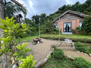 view săn mây đồi bát úp mặt tiền đường b''lao sire đại lào tp.bảo lộc