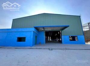 Cần sang ngay miếng đất mặt tiền đường quốc lộ 80, Bình Thành, Lấp Vò, Đồng Tháp giá thị trường