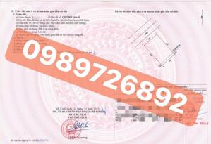 Lô góc cạnh vườn hoa- Đấu giá kim hoa- Mê Linh