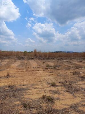 Bán đất xây dựng xưởng 80.000m2 KCN Lộc An Bình Sơn, Long Thành, Đồng Nai