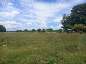 Bán đất xây dựng xưởng 25.000m2 KCN Mỹ Xuân B1, Phường Mỹ Xuân, BRVT