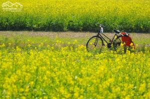  CHO THUÊ CĂN 4 TẦNG MẶT PHỐ VĂN CAO - ĐOẠN GẦN NGUYỄN BÌNH