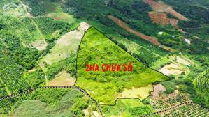 Đất không sổ giá rẻ 2ha giá chỉ 520tr tại Đắk Nông