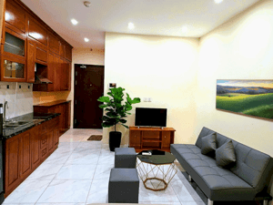 Căn Hộ cao cấp tòa D'' Eldorado 659 Lạc Long Quân, giá chỉ 10 triệu/tháng