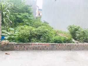 Bán đất đẹp chỉ hơn 4 tỷ, 62m2 MT 4,08 nở hậu thôn Đoài, Nam Hồng.