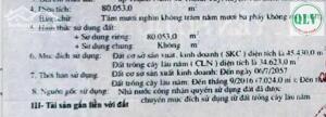  Bán đất công nghiệp giá tốt 80.053m2 – ĐÃ CÓ CHỦ TRƯƠNG XÂY NHÀ MÁY CHẾ BIẾN CỒN