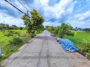 CẦN BÁN 2050M2 ĐẤT THỔ CƯ ĐƯỜNG BÌNH TRƯỜNG GIÁ TỐT BÌNH CHÁNH