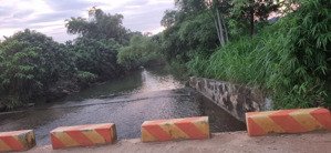 sở hữu ngay 5059m2 đất view suối tại ba vì có 300m² đất ở lâu dài pháp lý rõ ràng