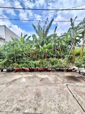 bán lô đất đẹp phù hợp xây biệt thự sân vườn - 264m2 - ngang 14m - giá chỉ 7,2 tỷ