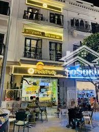 cho thuê nhà mặt phố đào tấn 160m² x 5 tầng, mt 7m tập trung nhiều văn phòng, đại sứ quán, kd đỉnh