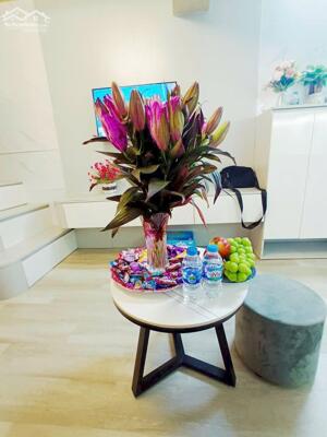 Nhà Đẹp Gần Đường Bạch Mai, Hai Bà Trưng 35m, tầng 1, giá 2,75 tỷ.