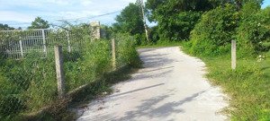 bán nhanh 2 lô đất liền kề chính chủ xã hòa phong, hòa vang, đà nẵng giá chỉ 1,5 tỷ/lô