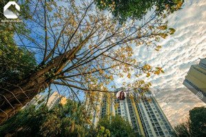 bán 3 ngủ, 90m2 - chung cư rừng cọ , khu đô thị ecopark - giá 4 tỷ 575 bao sổ