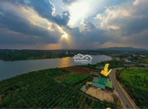 chính chủ cần bán 4023m2 đất mặt hồ long đỉnh - mặt tiền đường nhựa trục chính phúc thọ