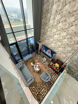 chủ cần tiền bán nhanh căn dulex the zei, 185m full nt cao cấp, sổ sẵn, giá 20ty, lh: 