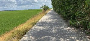 bán đất thổ cư 2000m2 tại 3, kiến tường, long an, giá tốt 10 triệu/m2