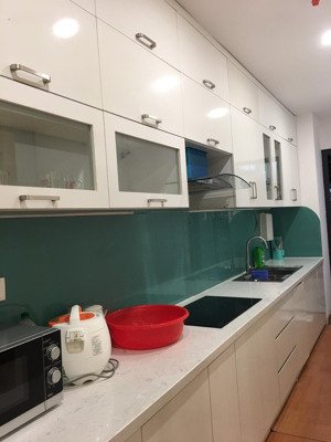 chính chủ cho thuê nhanh căn hộ 2pn full nội thất mon city, nam từ liêm, hà nội.