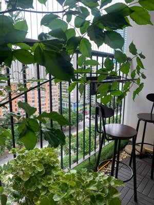 chính chủ bán gấp căn hộ 2pn cao cấp tầng đẹp, full nội thất vay ngân hàng dễ, ngay trung tâm