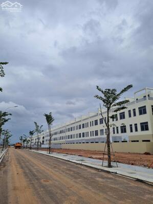 Quy Nhơn Iconic: Biểu Tượng Sống Đẳng Cấp & Cơ Hội Sinh Lời Bền Vững