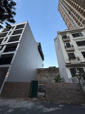 siêu hiếm - đất biệt thự vườn đào - vị trí cực đẹp - 180m2 - mặt tiền 11m - 99 tỷ