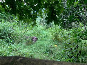 bán đất tại xã yên hoà, đà bắc, hòa bình, 50.000 m2 giá chỉ 60 nghìn/m2/th