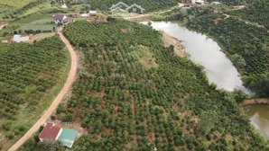 2.600m2 view hồ ven sẵn 100m2 tc ven tp đà lạt, 769 tr/sào