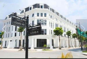 bán liền kề 95m2 đường đôi rộng đẹp tại kđt louis city hoàng mai