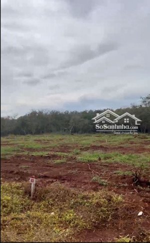 chính chủ cần bán mảnh đất thôn bình minh, xã nghĩa bình, huyện bù đăng. liên hệ ngay 