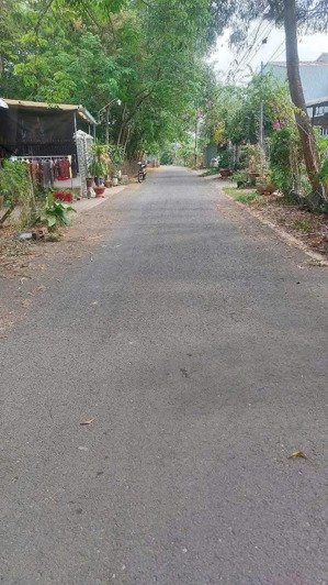 đất mặt tiền dx 63 nhựa 7m định hòa, vị trí gần tp mới bình dương dt: 4x29m thổ cư 60m2 116.6m2