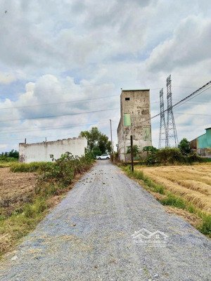 cần bán đất, sổ hồng riêng, xã hoà khánh đông, đức hoà, long an. dt: 5x43m giá: 990 triệu