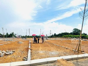 đất khu công nghiệp lam sơn - sao vàng tỉnh thanh hoá chỉ vài triệu đồng /1m2
