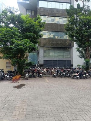 cho thuê biệt phố mễ trì hạ giá 30 triệu/ tháng