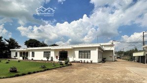 chủ gửi bán gấp kho xưởng 8.178,1m2 đẹp, đường cont 40'' 24/24 giá rẻ, shr