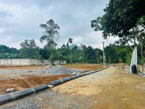 đất nền đấu giá khu vực yên thủy, hòa bình, 490 triệu, 109m2 hàng hot