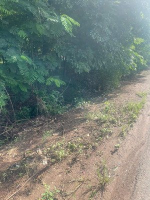 7 sào đất 100m2 thổ cư xã minh tâm, mặt tiền đường nhựa 752 cách trung tâm 2km