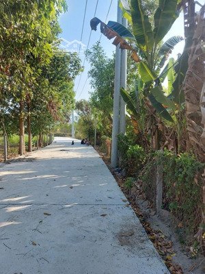 nt - khánh hòa, bán 5.218,6m2 đất 3,8 tr/m2 mặt tiền đường qh. 24m - có 3021m2 thổ cư