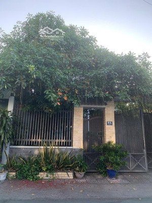 biệt thự sân vườn 196m² đường 79 phước long b không gian sống lý tưởng giữa thủ đức