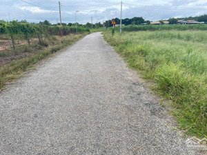 ngay kcn, kdl sinh thái lớn đường thông 5x49x100m2 tc giá chỉ 545tr, dâm đông sổ riêng kí liền