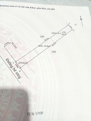 bán đất đt 746b, kcn visip iii, tân uyên, bình dương, 245.6m2, giá thỏa thuận, hàng hiếm vị trí đẹp