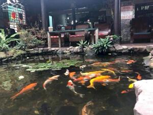 CHO THUÊ QUÁN CAFE TẠI PHƯỜNG HƯNG LỘC, TP VINH