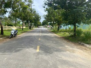 chính chủ gửi bán lô đất tdc hoà liên 5- liên chiểu - đà nẵng. vị trí: đối diện công viên