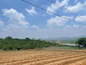 đất đẹp giá rẻ ở lâm hà gần chợ tân hà chỉ 750tr